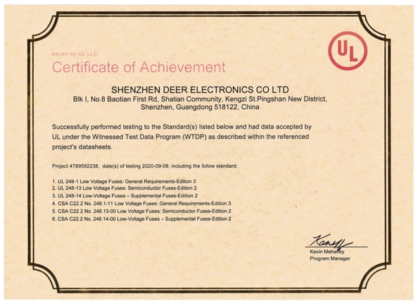 الصين Dissmann | Global Expert Fuse for EV | HEV | Photovoltaic | Battery | Energy Storage Solutions الشهادات